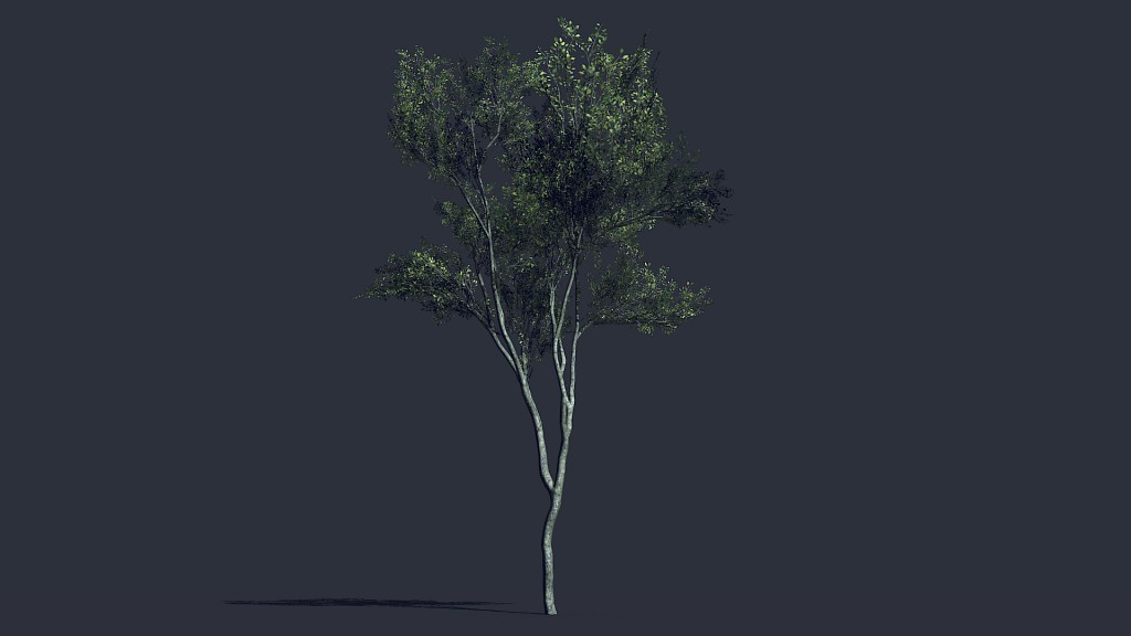 Low Poly Tree Next Gen preview image 1